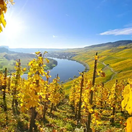 Appartement Weingut Hermes