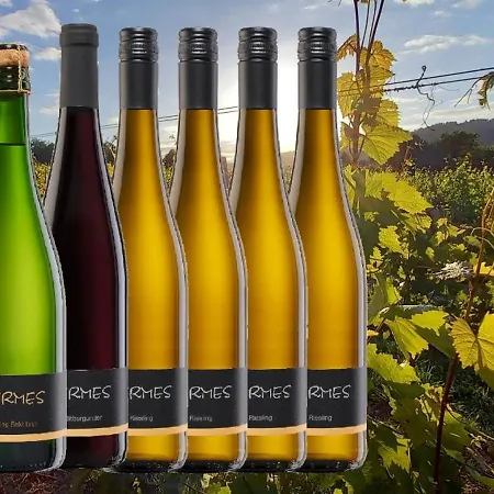 Weingut Hermes Apartment Krov