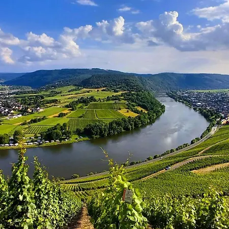 Weingut Hermes *