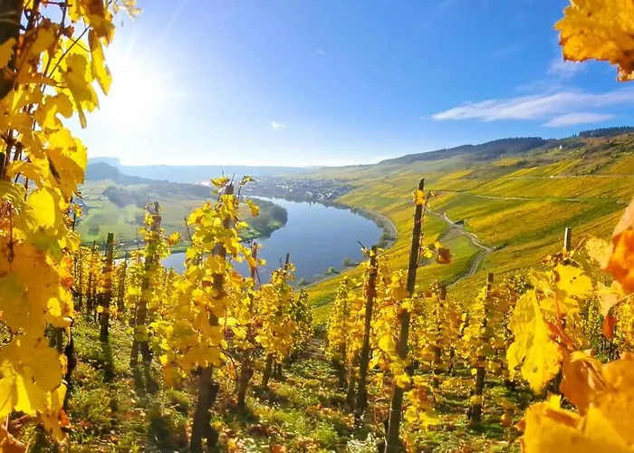 Lägenhet Weingut Hermes