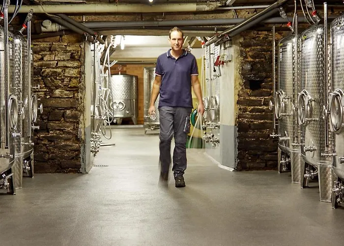 Weingut Hermes Lägenhet Kröv